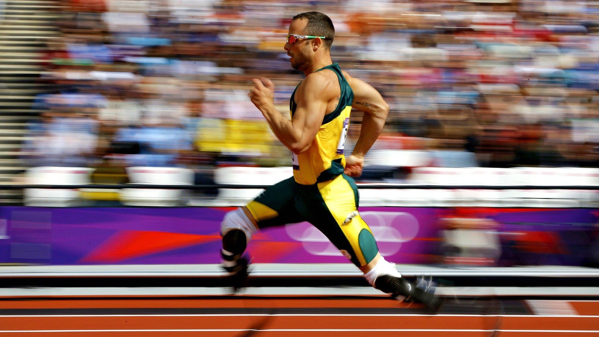 “游泳项目聚焦！2025世界游泳锦标赛，谁将创造新纪录？”