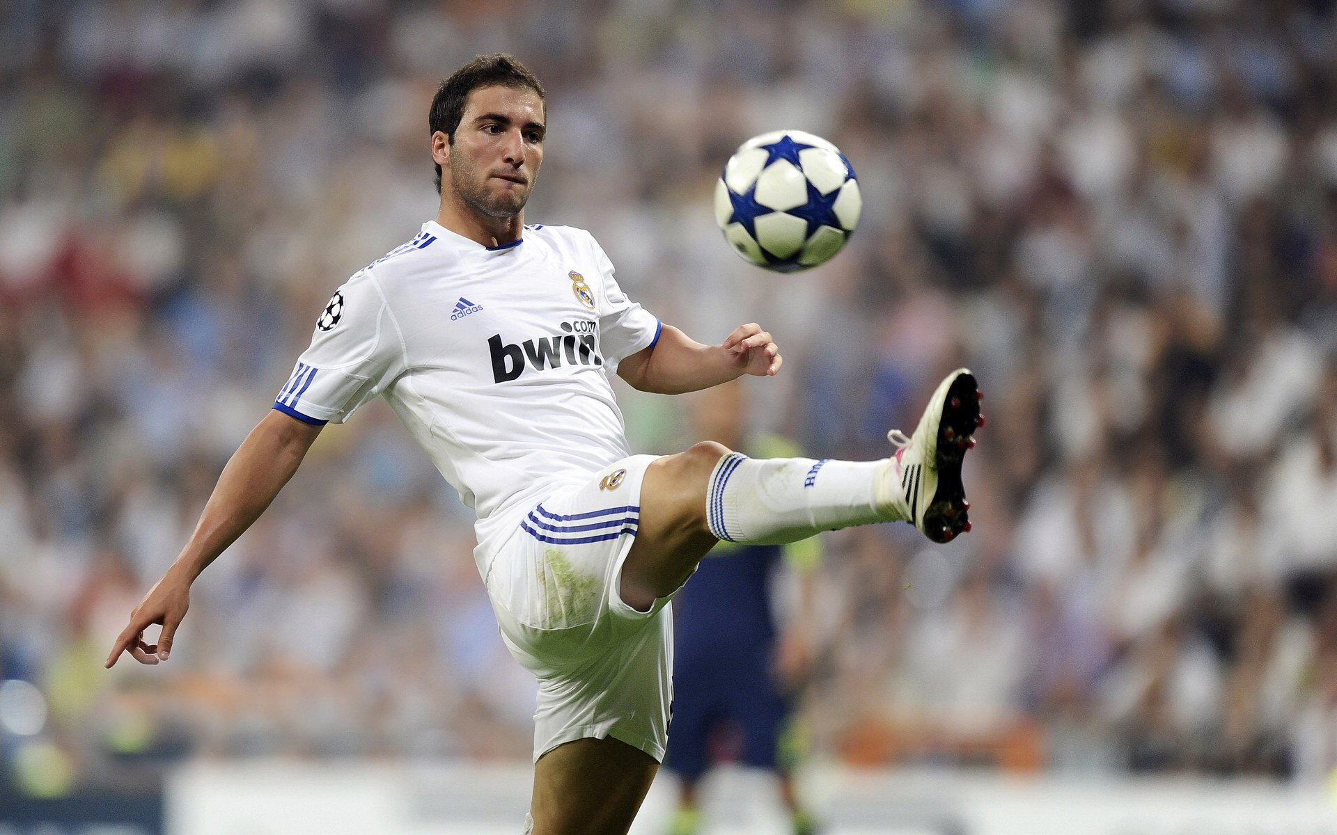 越野跑新手入坑赛 短距离林间路线专为初学者设计